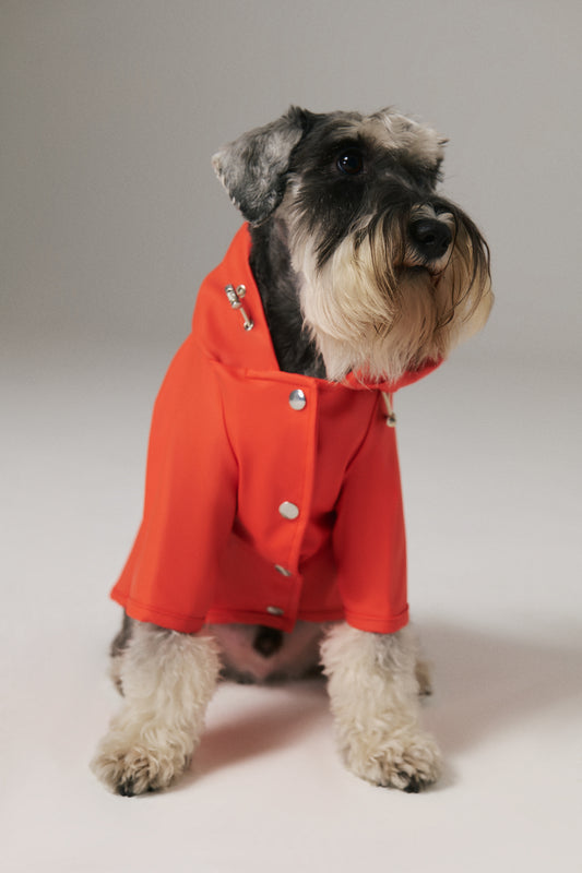 Köpek Yağmurluk - Chili Red