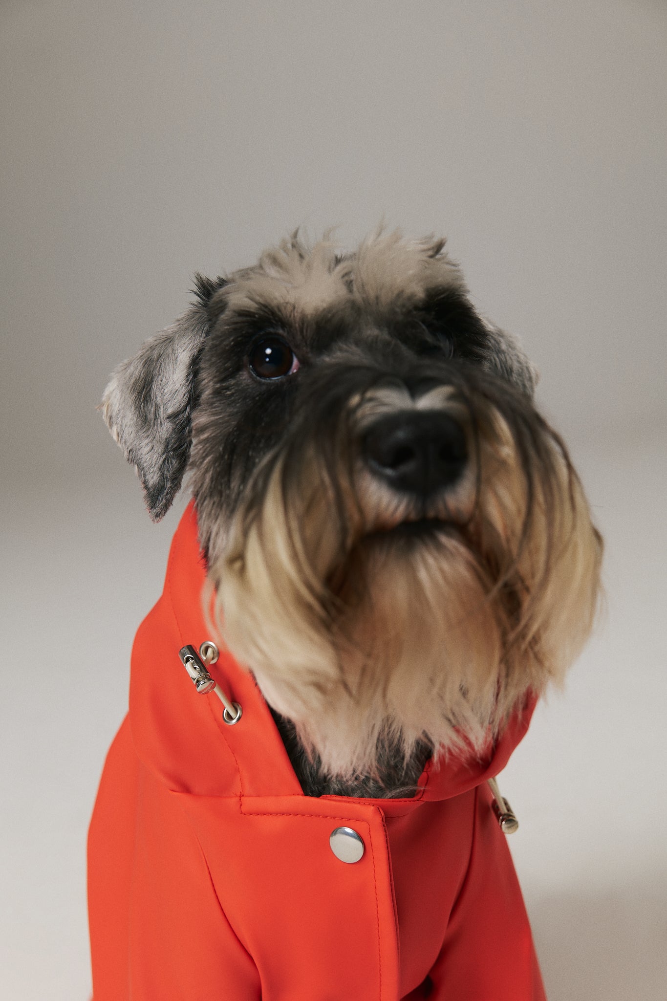 Dog Raincoat - Red