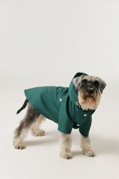 Bruno Signature Köpek Yağmurluk - Deep Teal