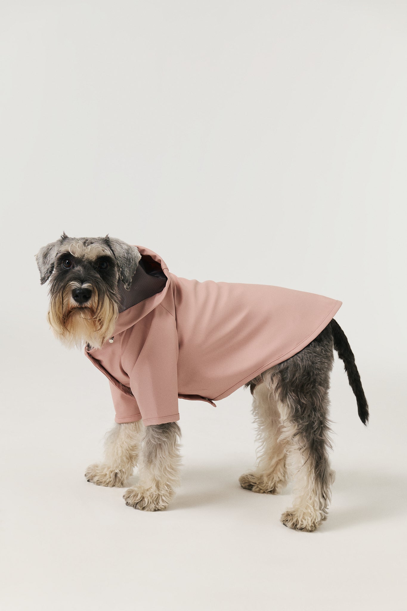 Bruno Signature Köpek Yağmurluk - Blush Pink
