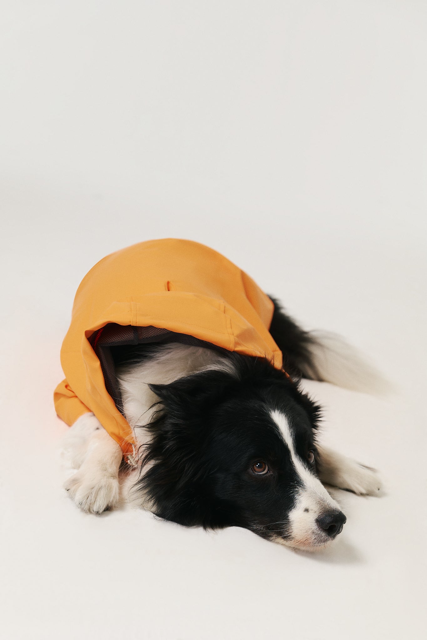 Dog Raincoat - Orange