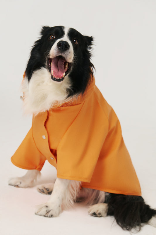 Köpek Yağmurluk - Orange