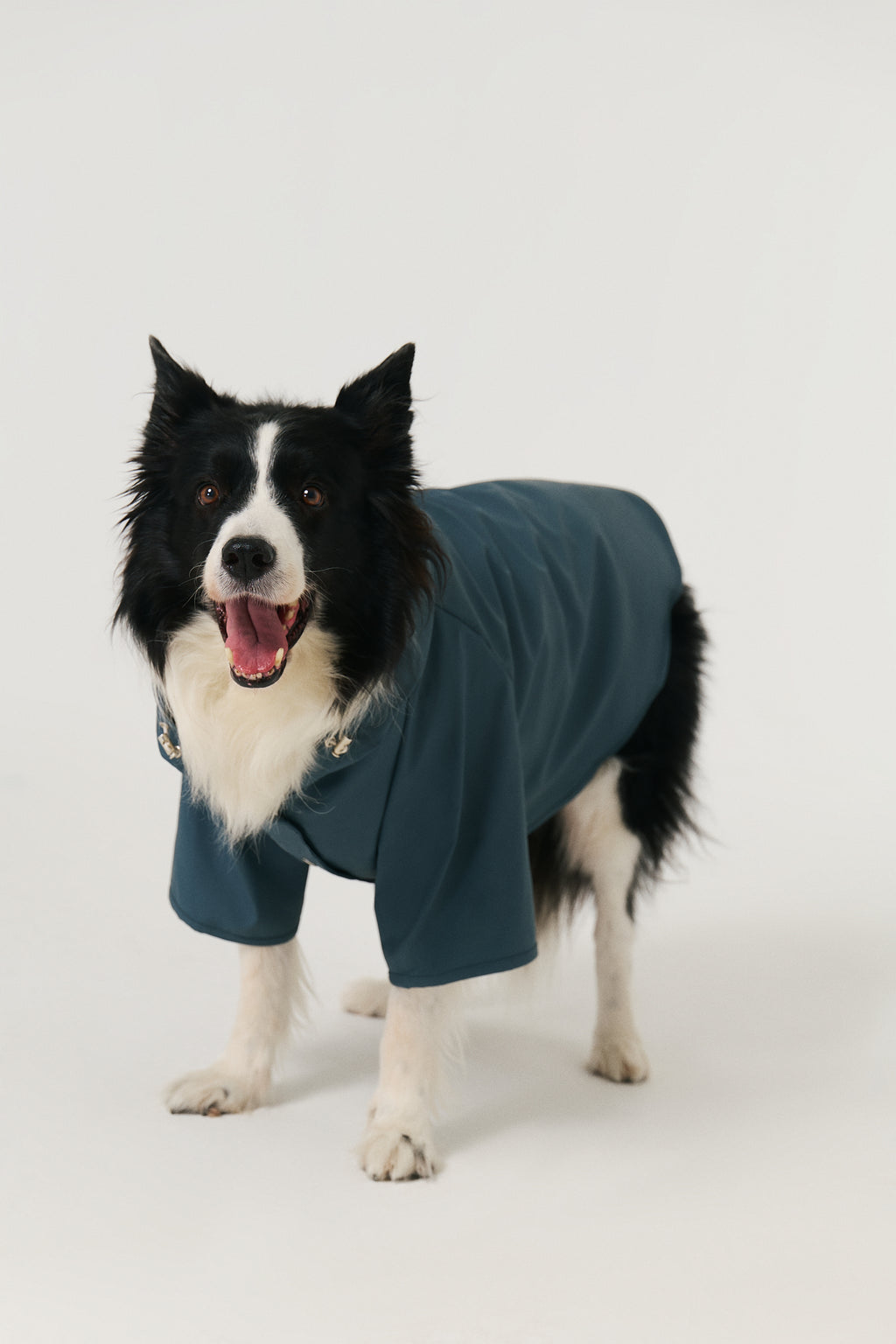 Bruno Signature Köpek Yağmurluk - Coastal Blue
