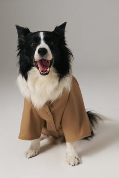 Bruno Signature Köpek Yağmurluk - Desert Camel
