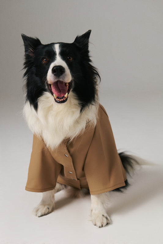 Dog Raincoat - Cinnamon