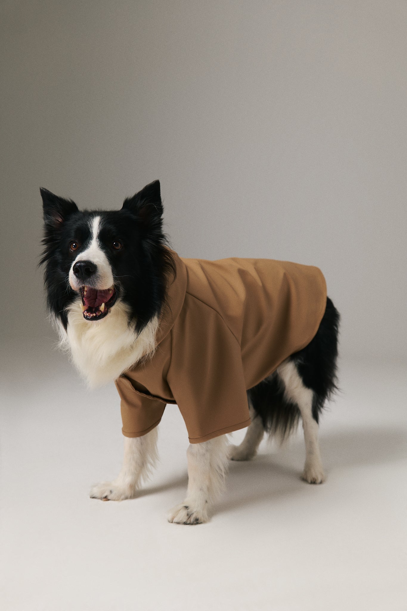 Dog Raincoat - Cinnamon