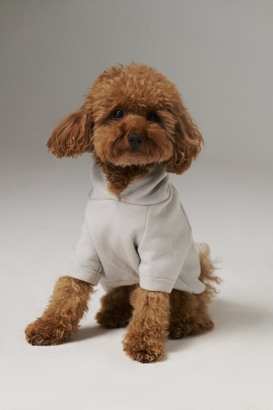 Poodle Köpek Hoodie - Gri