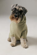 Dog Sailor Hoodie - Green