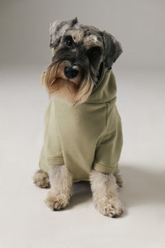 Bruno Flow Köpek Hoodie - Green Tea