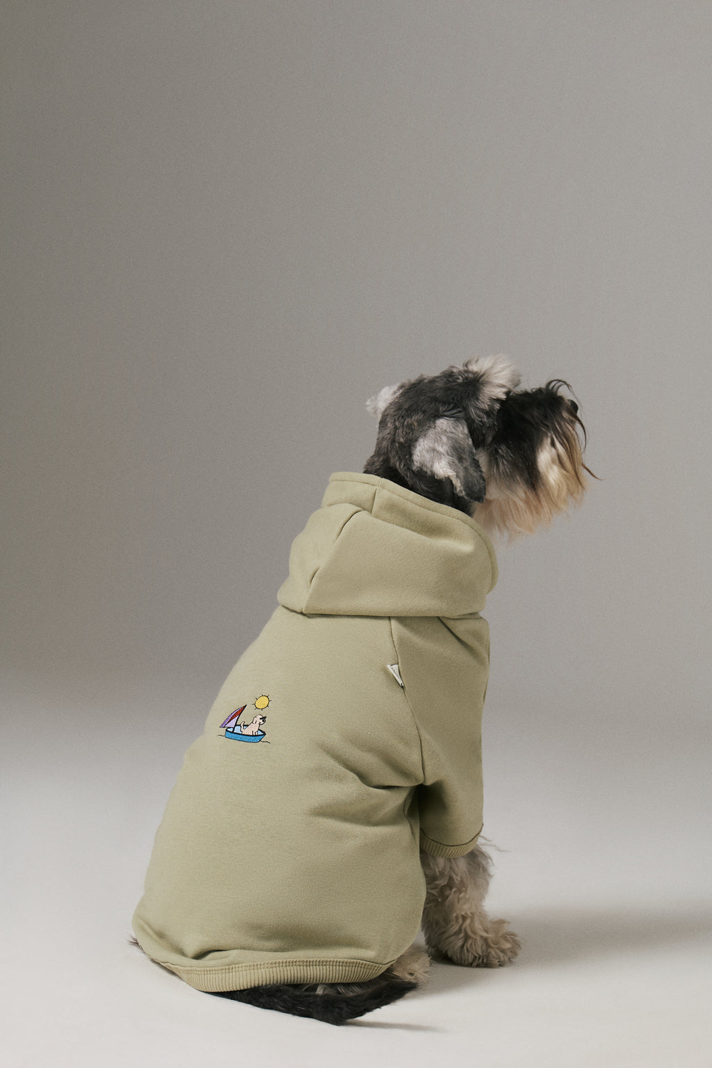 Bruno Flow Köpek Hoodie - Green Tea