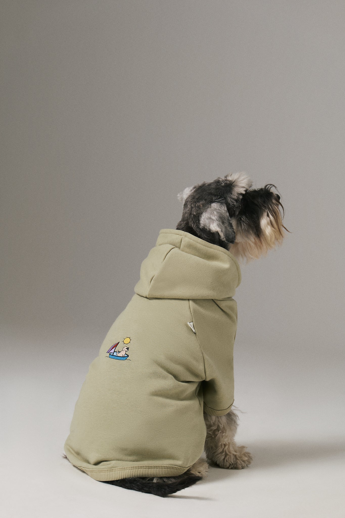 Bruno Flow Köpek Hoodie - Green Tea