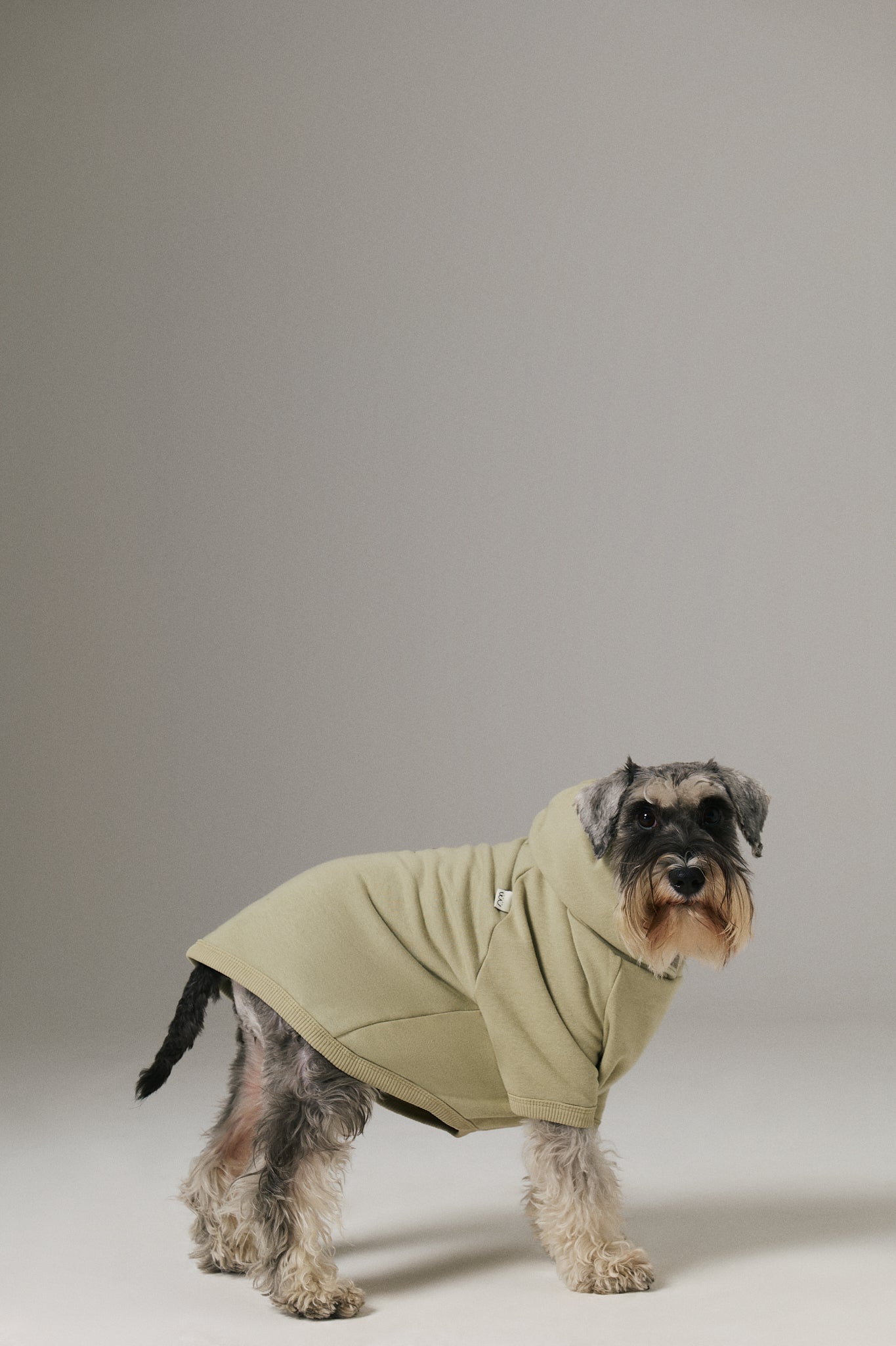 Bruno Flow Köpek Hoodie - Green Tea