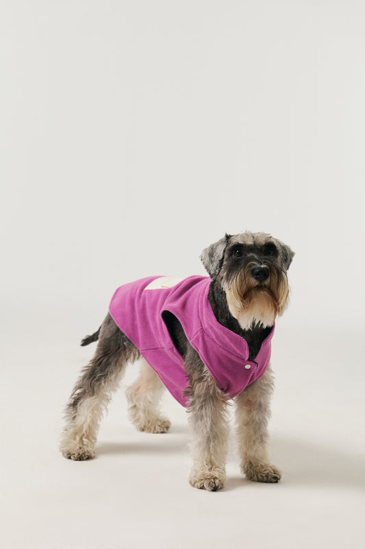Köpek Polar Mont - Lila