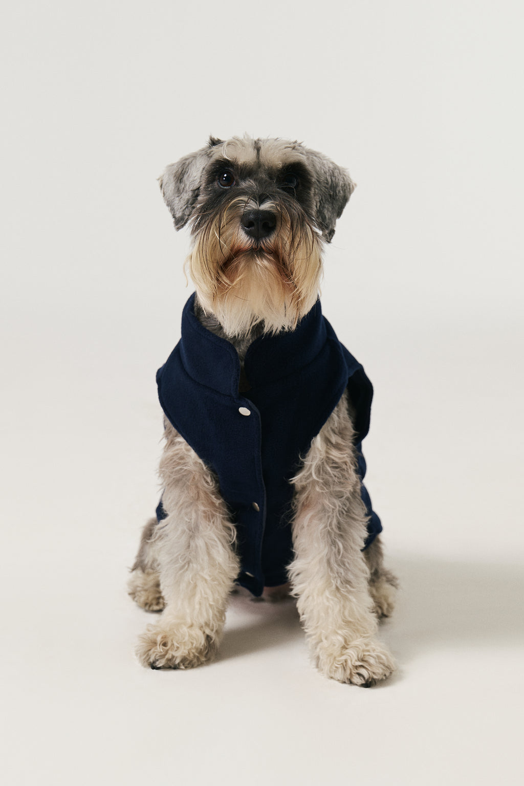 Bruno Cozy Köpek Polar Mont - Deep Navy