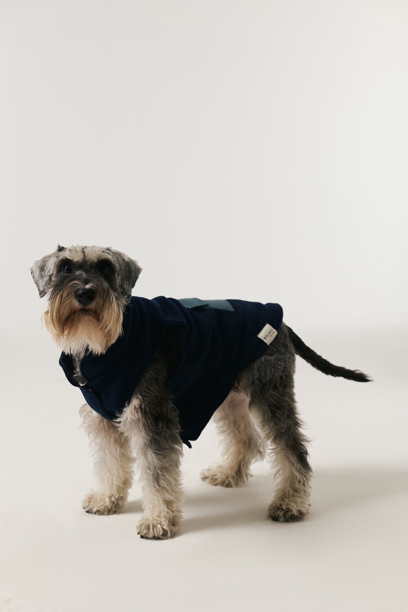 Bruno Cozy Köpek Polar Mont - Deep Navy