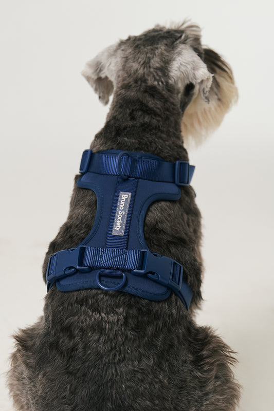 Harness - Ocean Blue