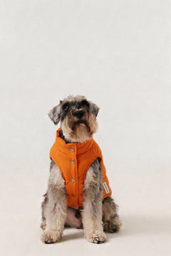 Bruno Classic Puffer Mont - Burnt Orange