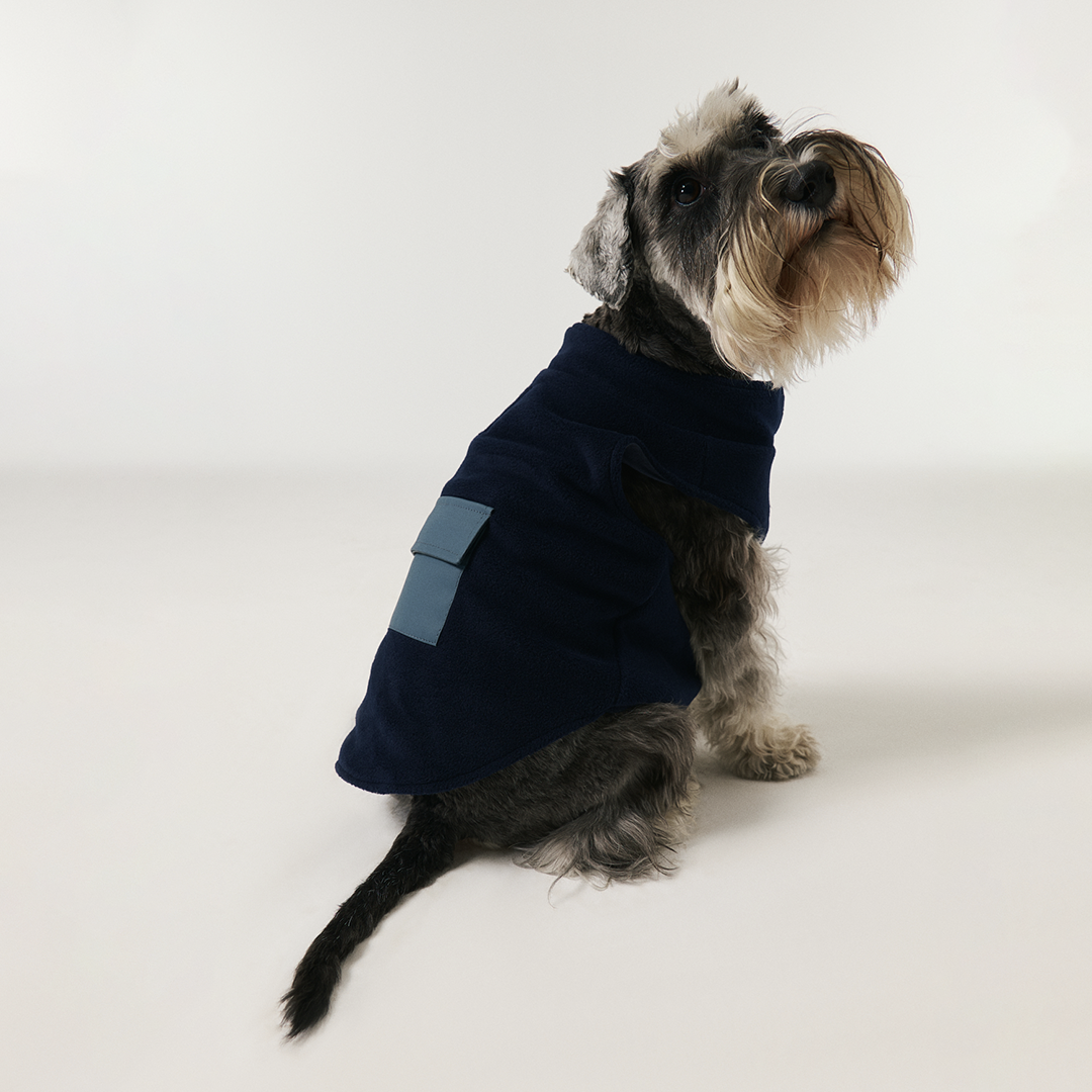 Köpek Polar