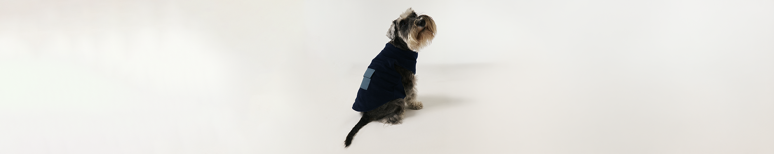 Köpek Polar