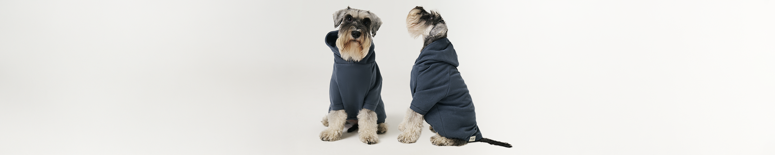 Köpek Hoodie