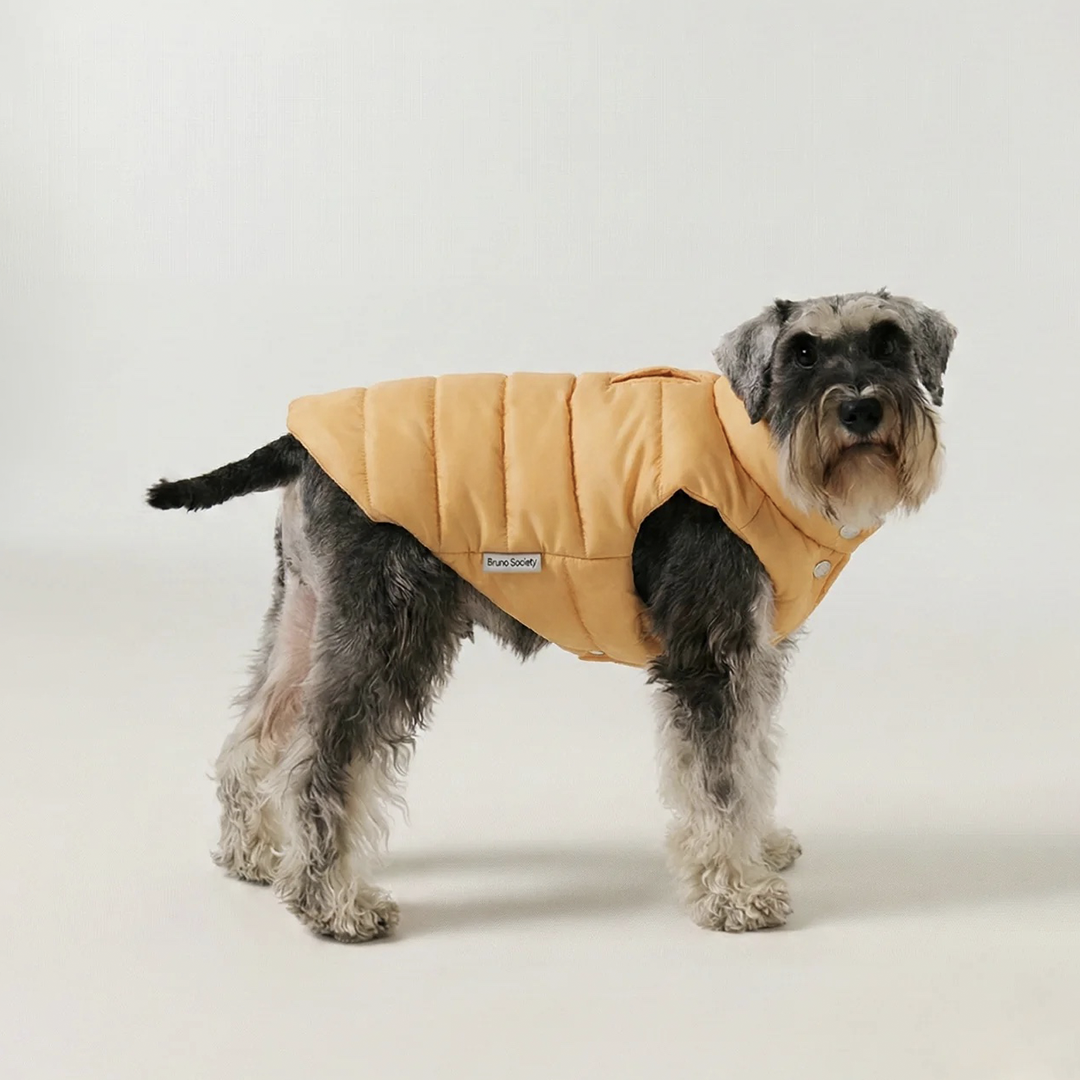 Köpek Puffer Mont
