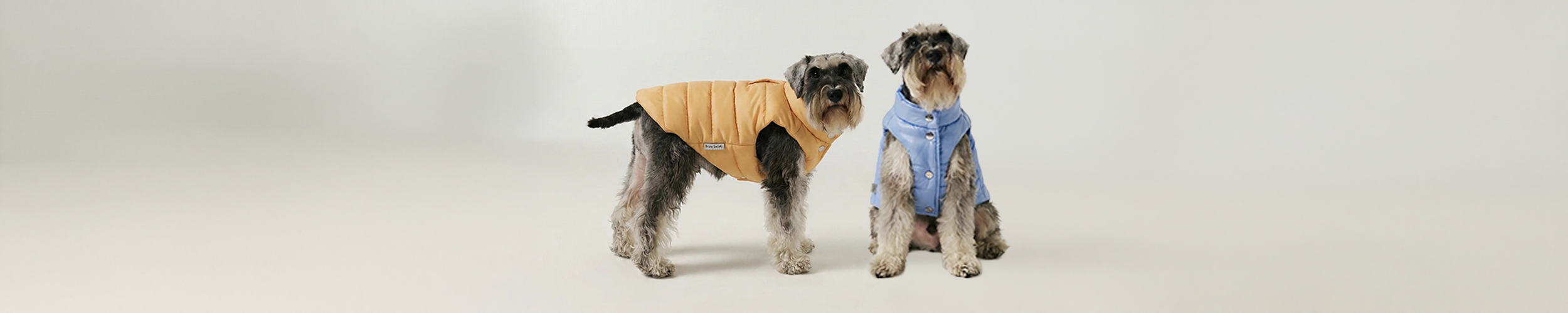 Köpek Puffer Mont