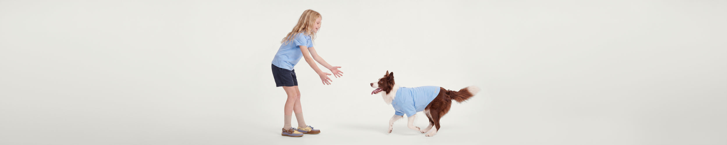 Köpek Polo Yaka