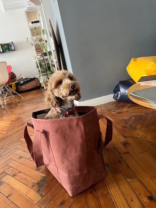 Carrier Bag - Burgundy