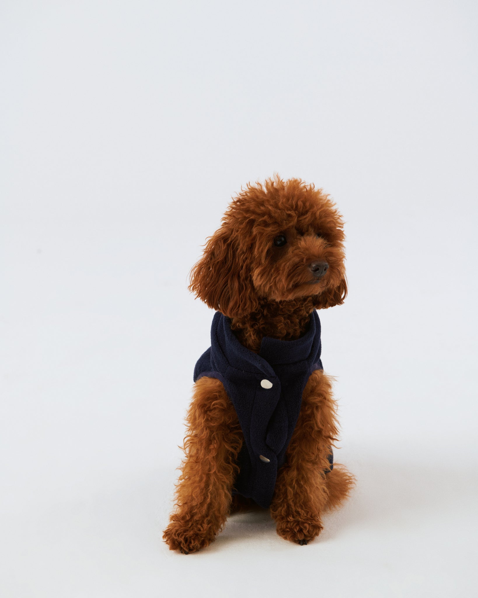 Bruno Cozy Köpek Polar Mont - Deep Navy