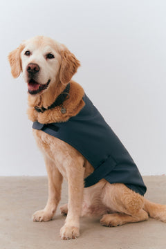 Bruno Classic Köpek Yağmurluk - Coastal Blue