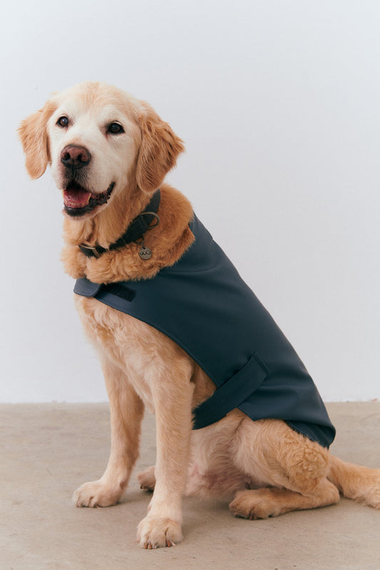 Kayışlı Köpek Yağmurluk - Deep Blue