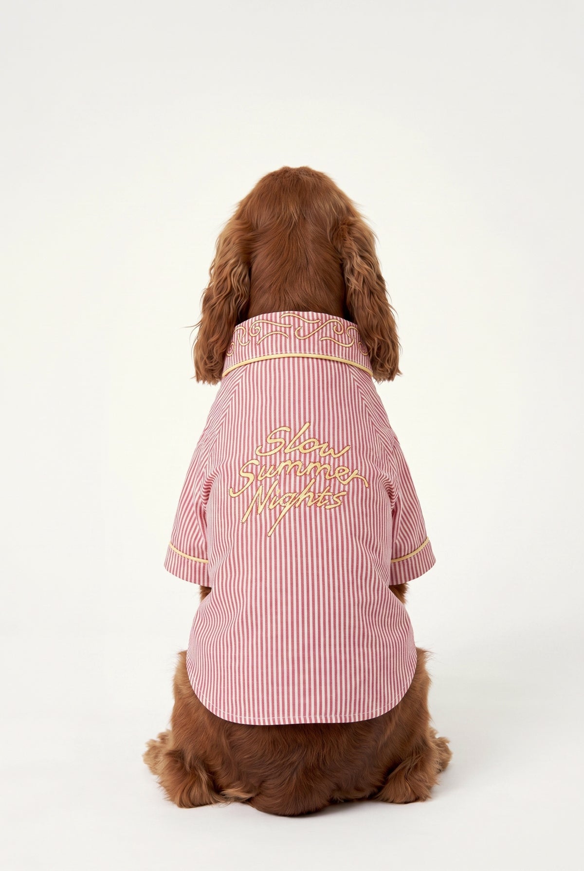 Veranda - Pijama - Köpek