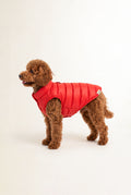 Puffer Vest - Red