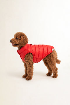 Puffer Vest - Red