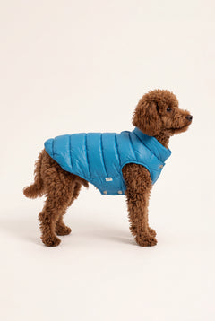 Puffer Vest - Baby Blue