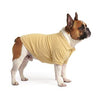 Bulldog