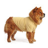 Chow Chow
