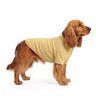 Cocker Spaniel
