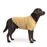 Labrador