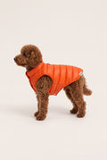 Bruno Classic Puffer Mont - Burnt Orange