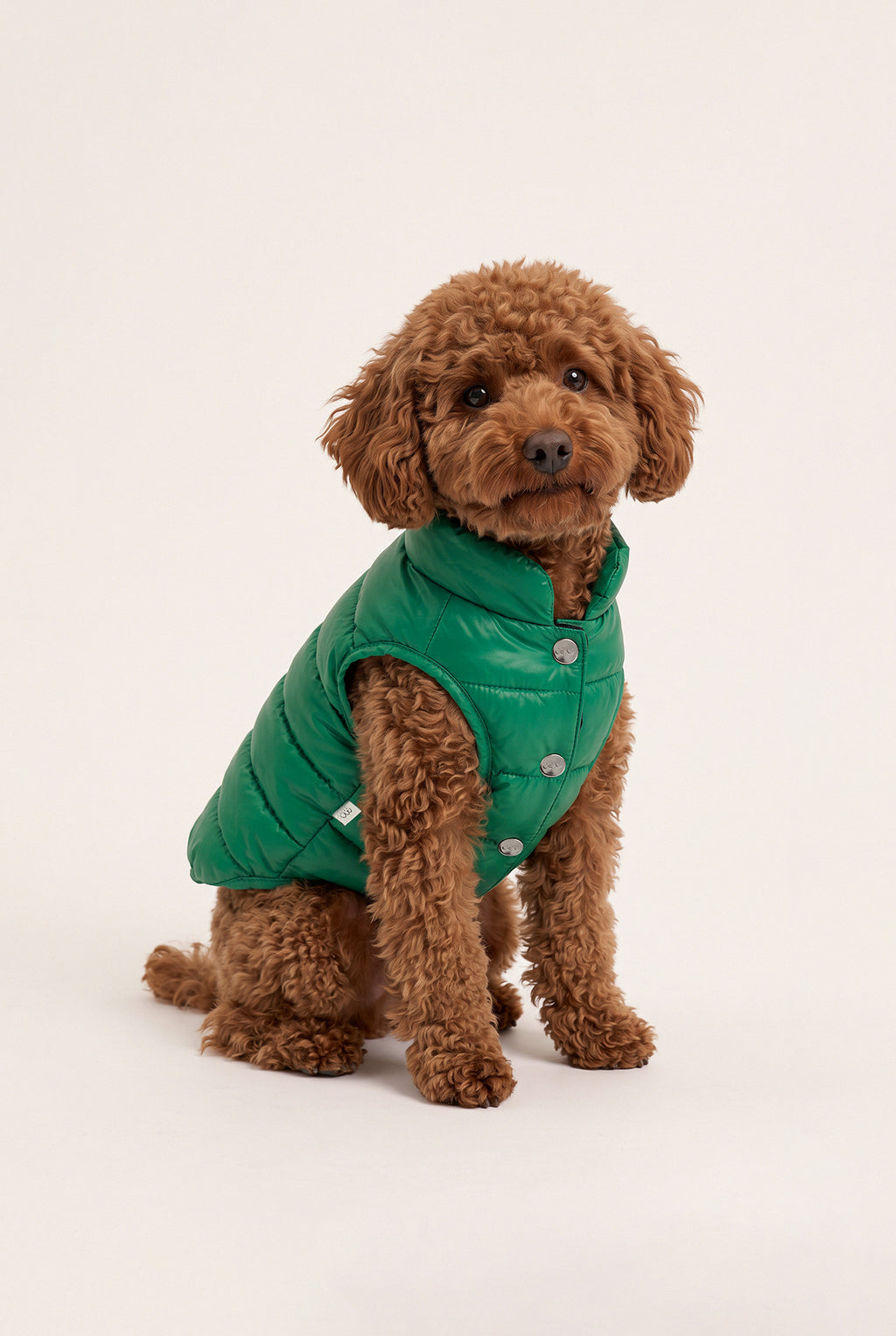 Bruno Classic Puffer Mont - Forest Green