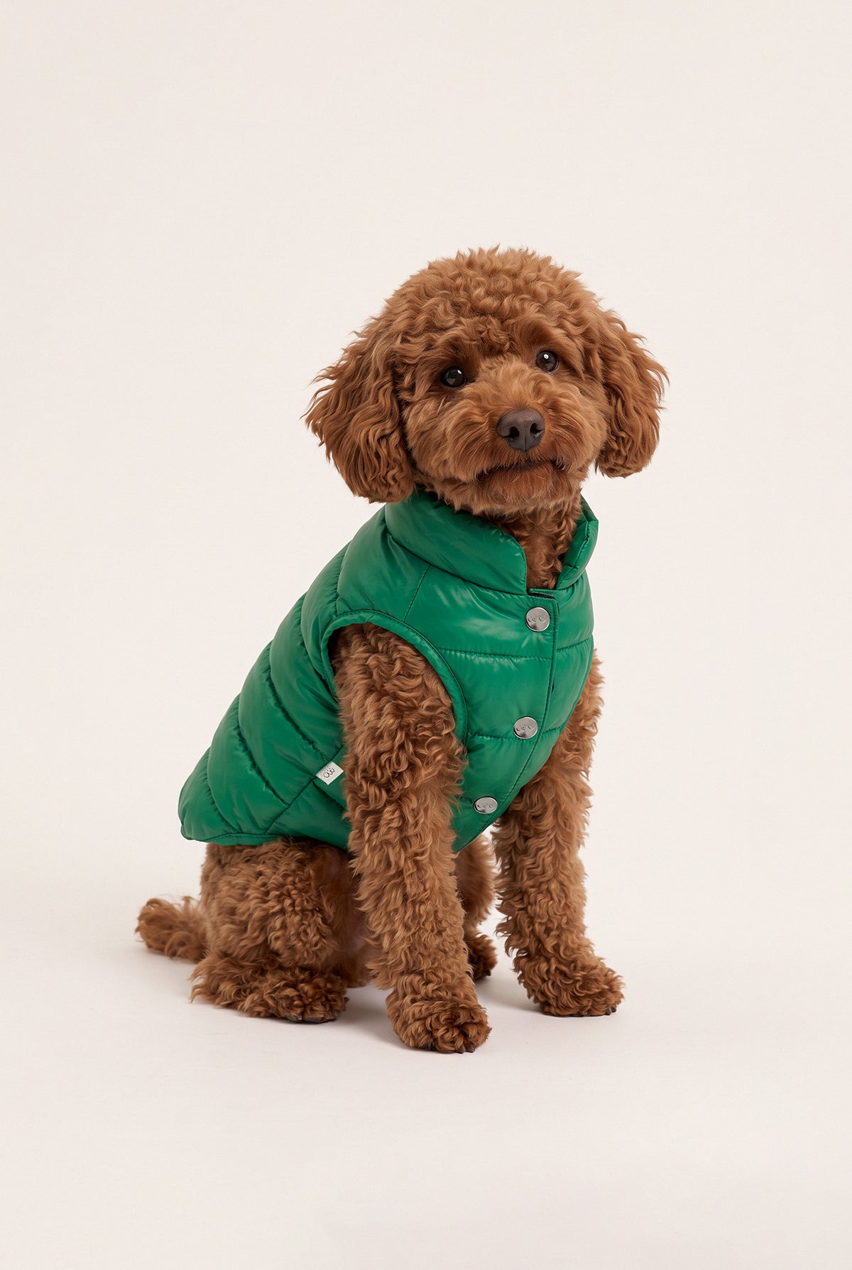 Bruno Classic Puffer Mont - Forest Green
