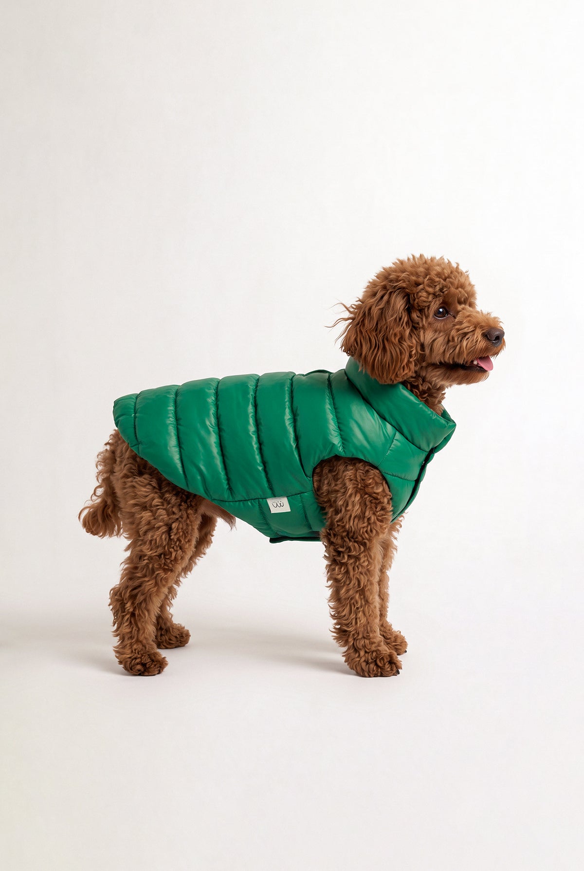 Bruno Classic Puffer Mont - Forest Green