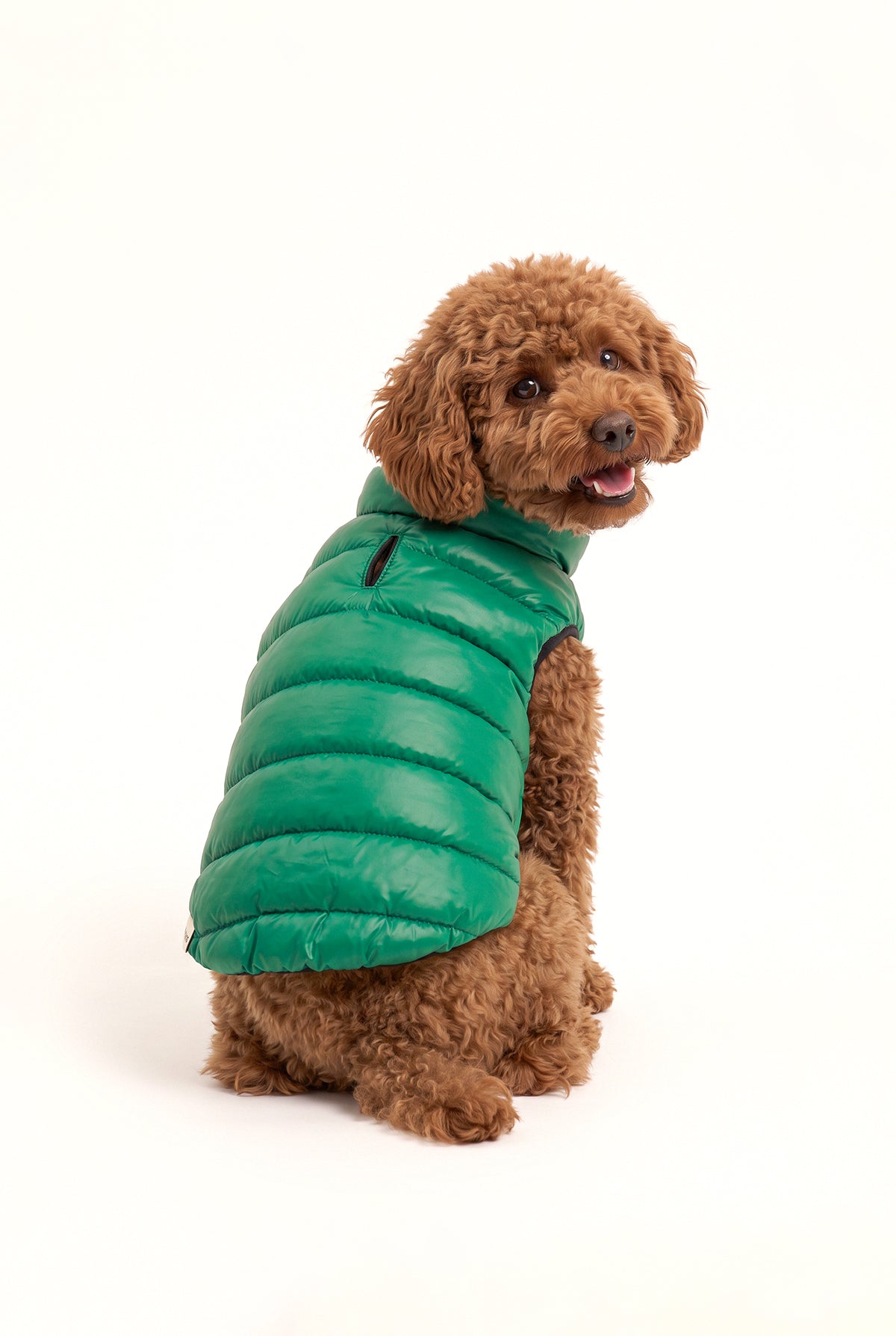 Bruno Classic Puffer Mont - Forest Green