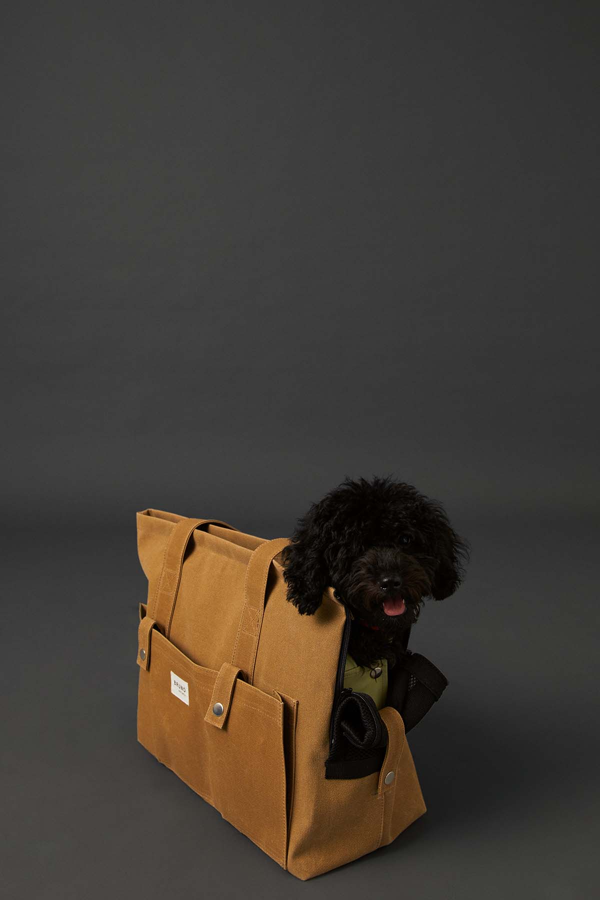 Köpek Taşıma Çantası - Kum Sarısı - Bruno Society