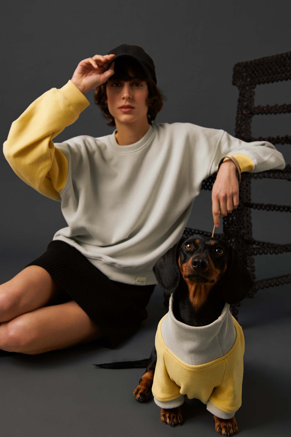 Köpek Sweatshirt - Soluk Sarı/Taş Grisi - Bruno Society