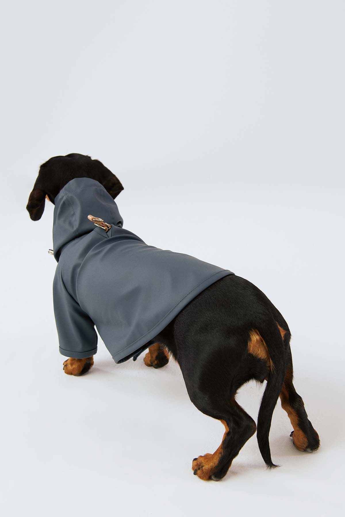 Köpek Yağmurluk - Ufuk Mavisi - Bruno Society