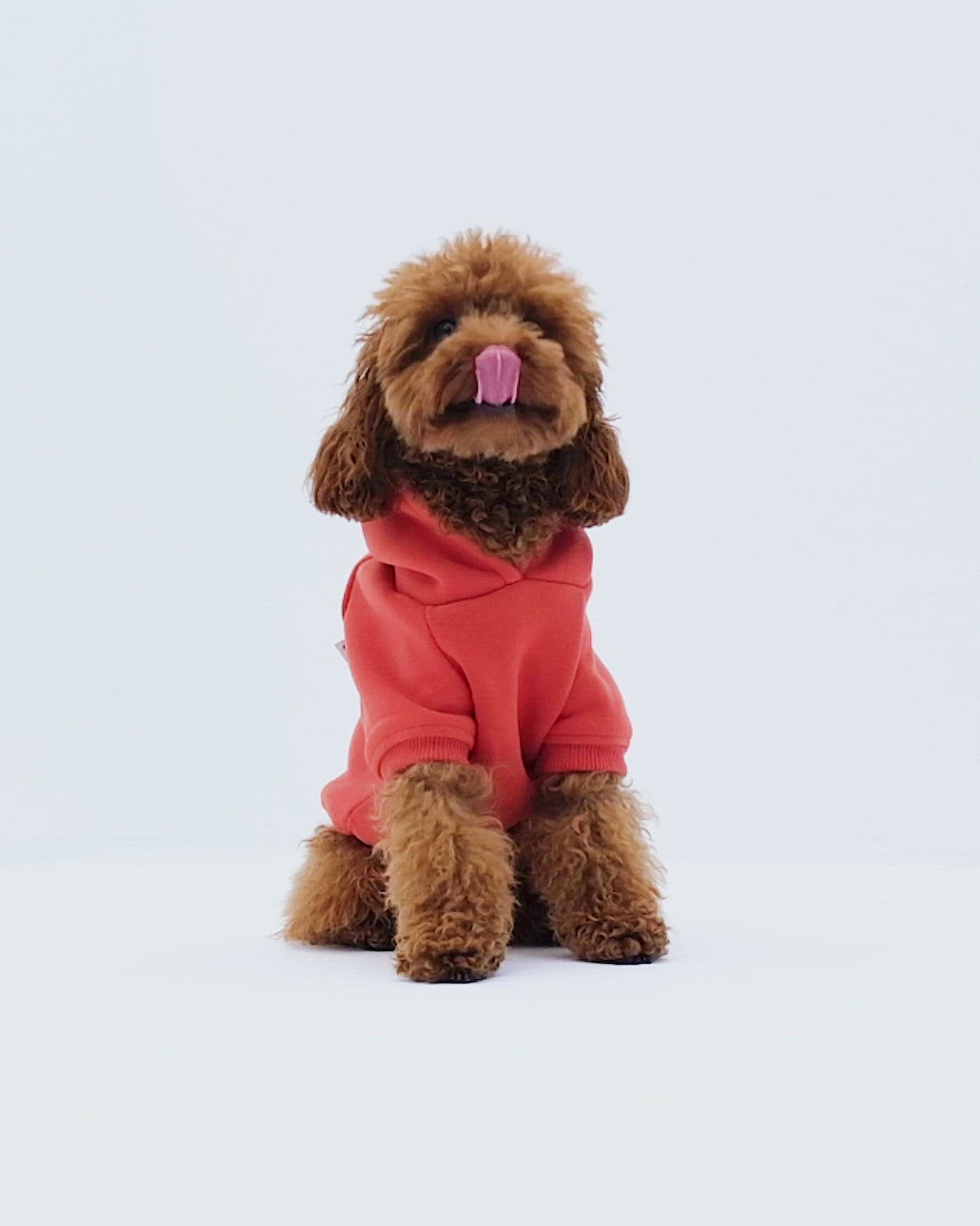 Köpek Hoodie - Açık Kırmızı