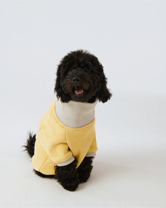 Köpek Sweatshirt - Soluk Sarı/Taş Grisi