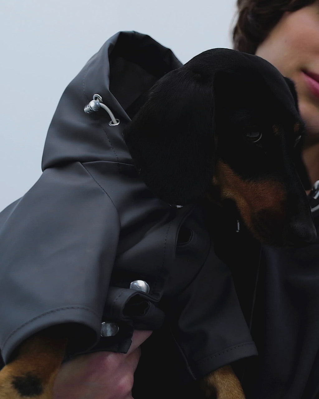 Bruno Signature Köpek Yağmurluk - Coastal Blue
